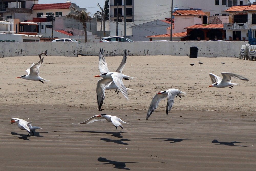 Photograph by Ulises Pintos