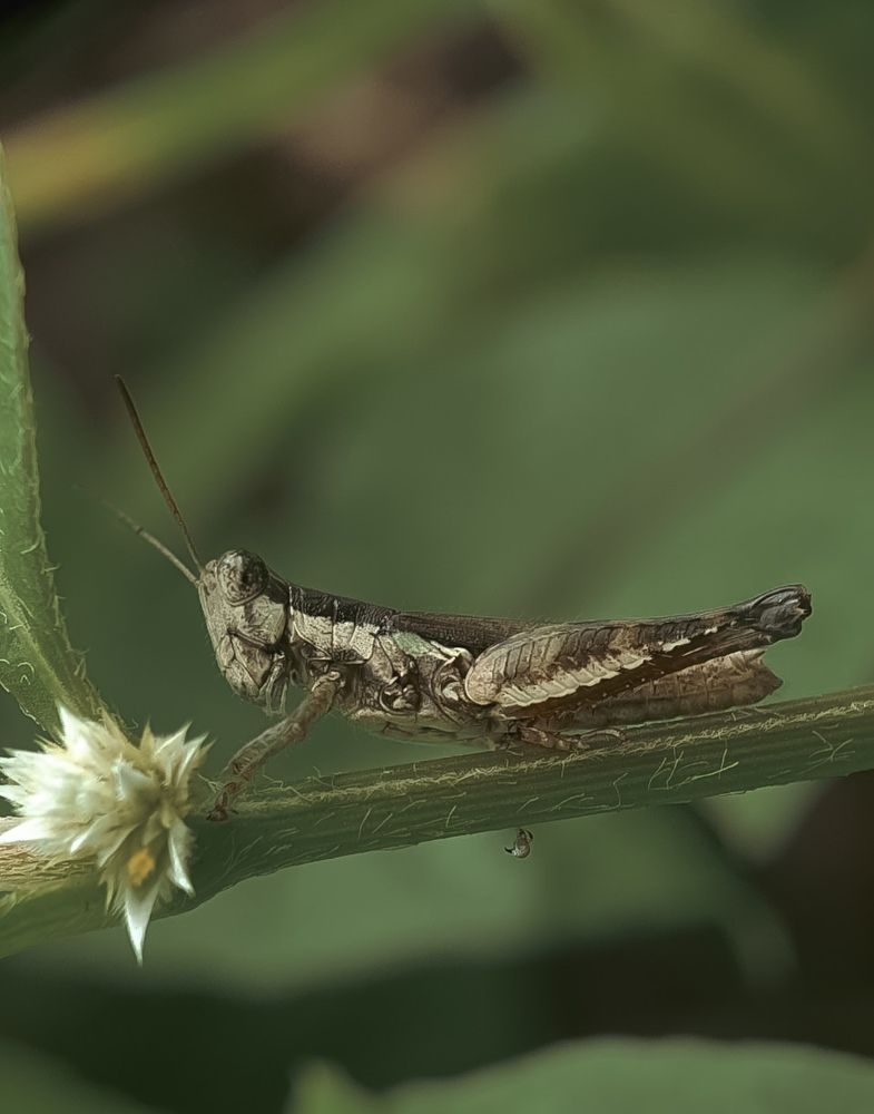 Photograph by Thein Win Tun