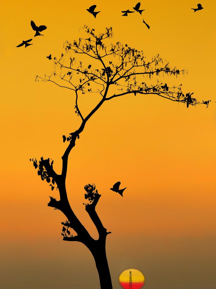 Photograph by MD Fahad Mollik