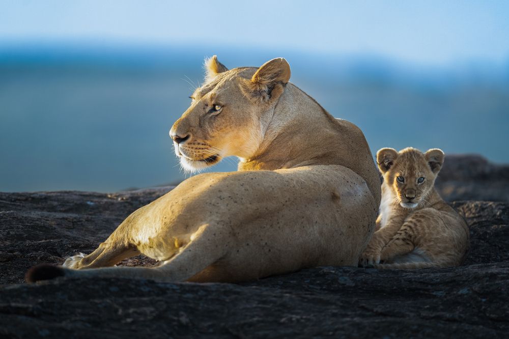 Photograph by Ahmed Sobhi