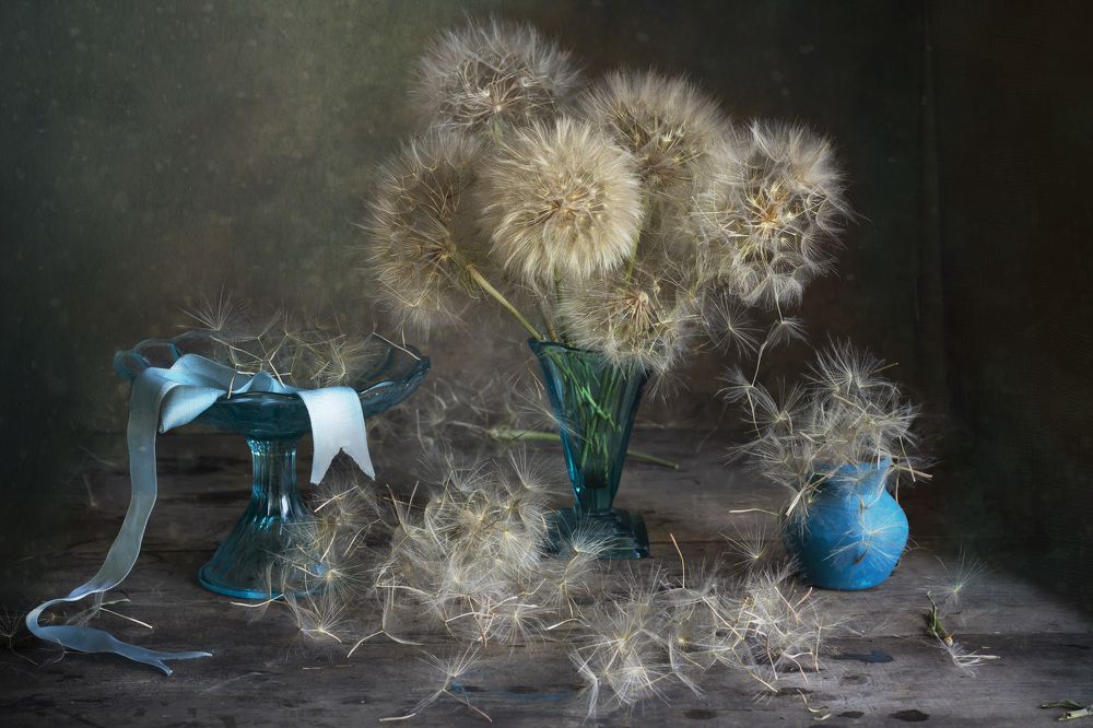 Photograph by Зимина Лионелла