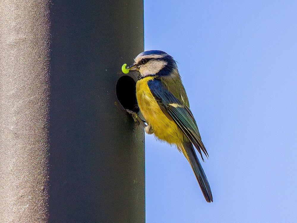 Photograph by Юлия Калугина