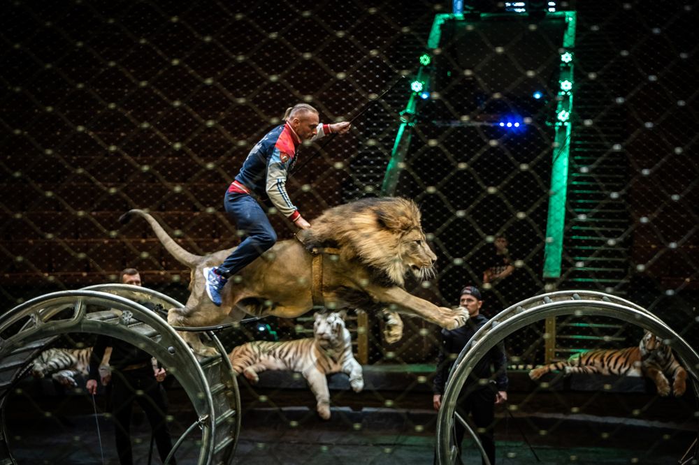 Photograph by Ольга Пачина