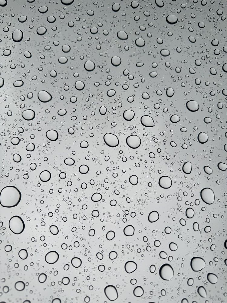 Photograph by Олеся Кузьмичева