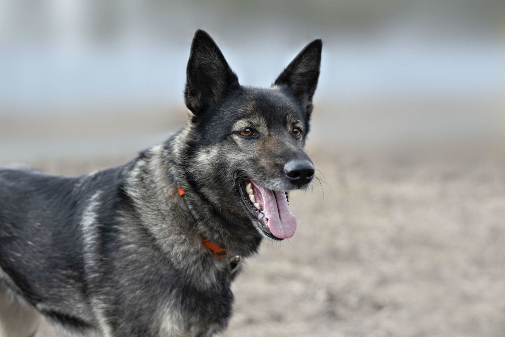 Фотография автора Екатерина Полякова