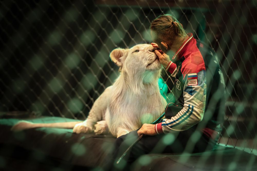 Photograph by Ольга Пачина