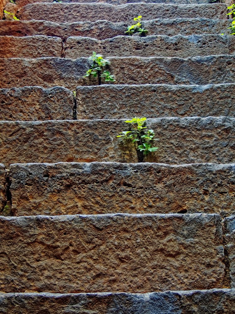 Photograph by Андрей Панин