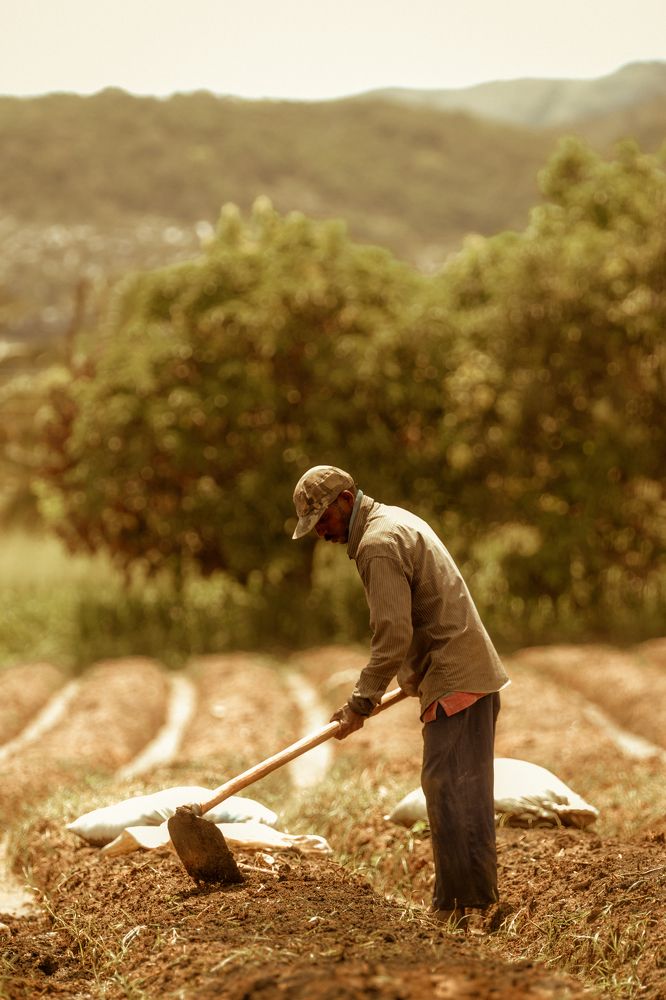 Photograph by Hashin Maharambage