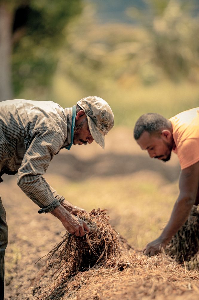 Photograph by Hashin Maharambage