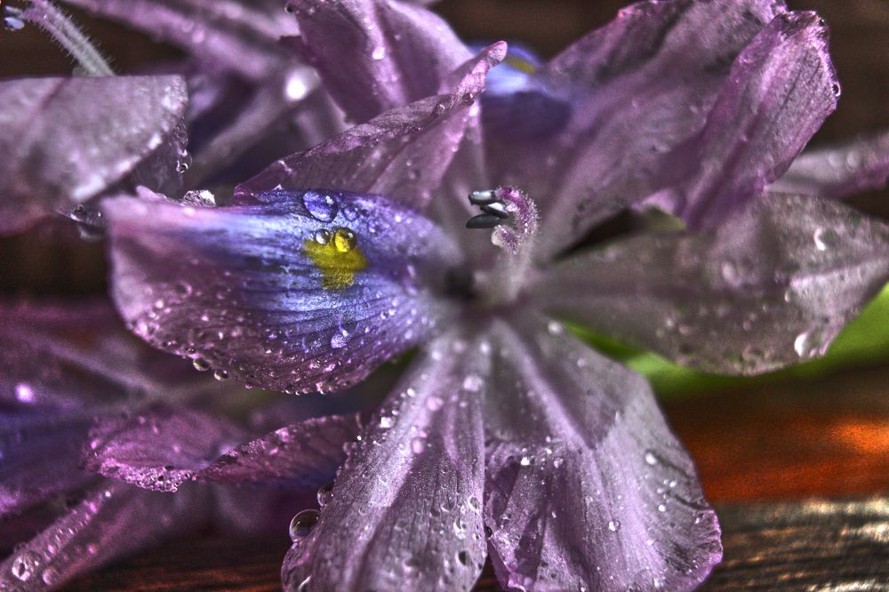 Фотография автора Наталия Мащенко