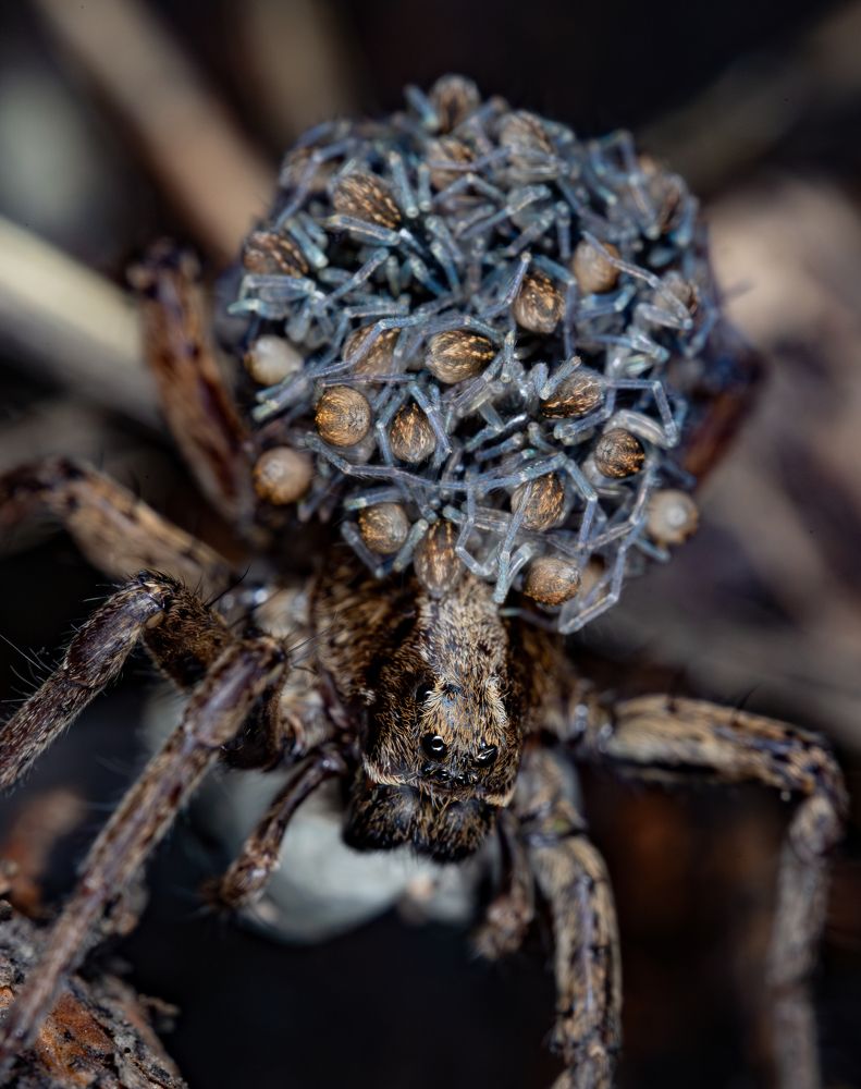 Photograph by Sergey Vatta