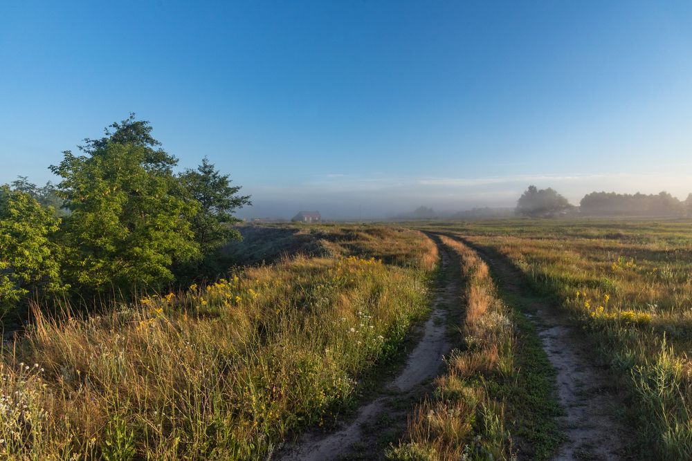 Photograph by Алексей