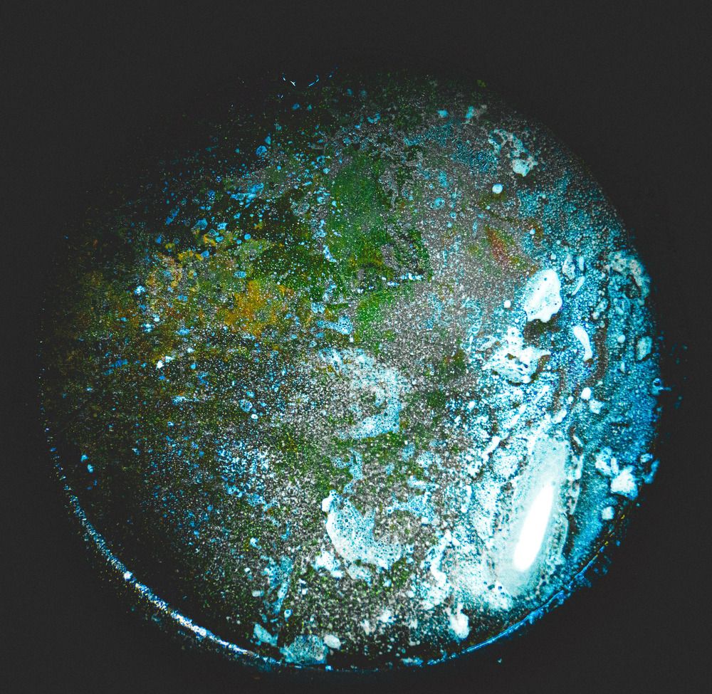 Photograph by Nikita Ostarkov