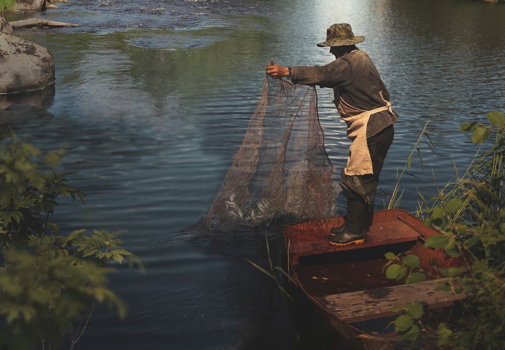 Photograph by надежда максимова