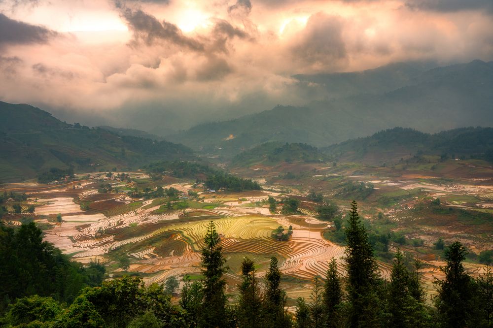 Photograph by Quy Nguyen