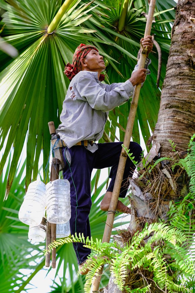 Photograph by Nguyen Hai Duong