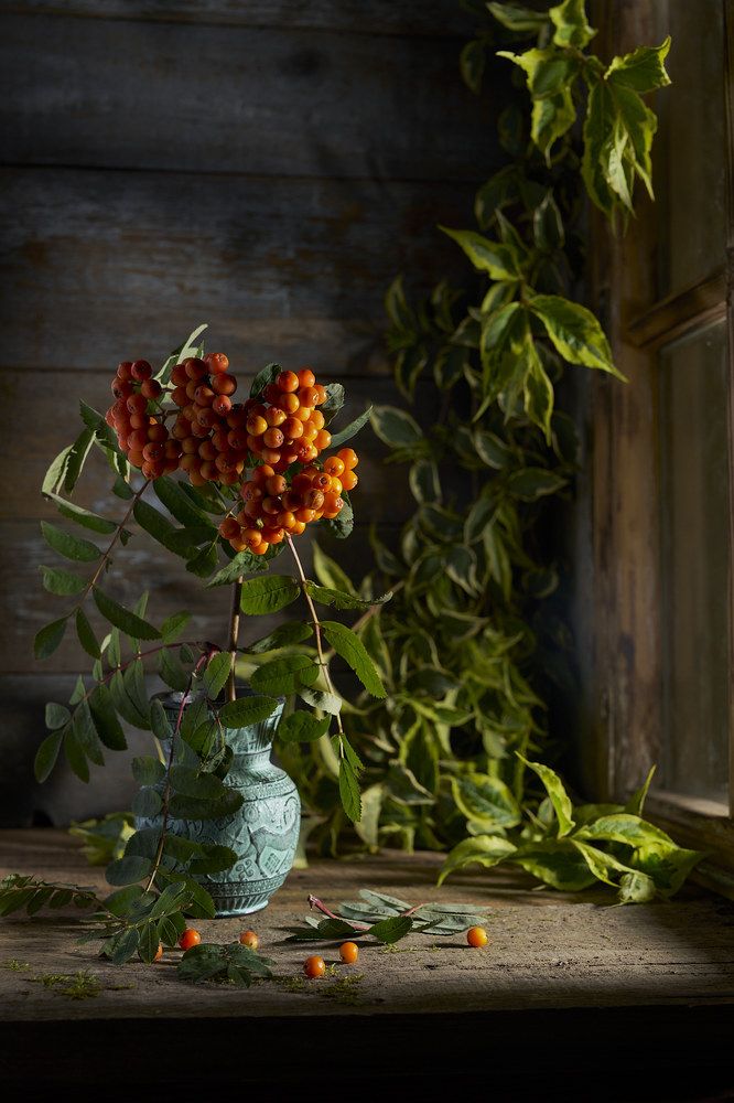 Фотография автора Tulak Pepino