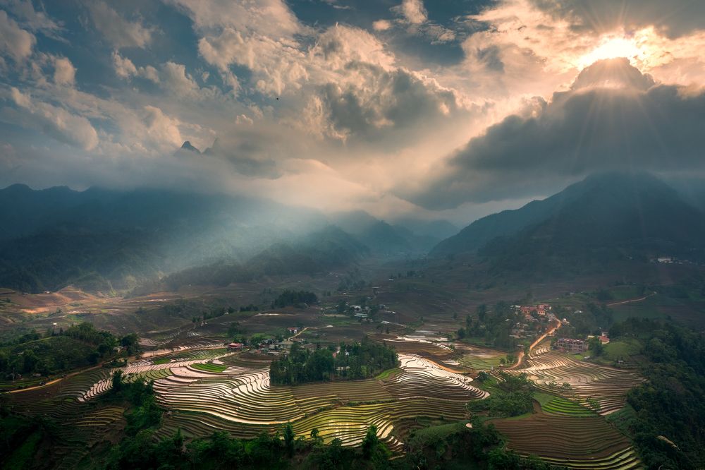 Photograph by Quy Nguyen