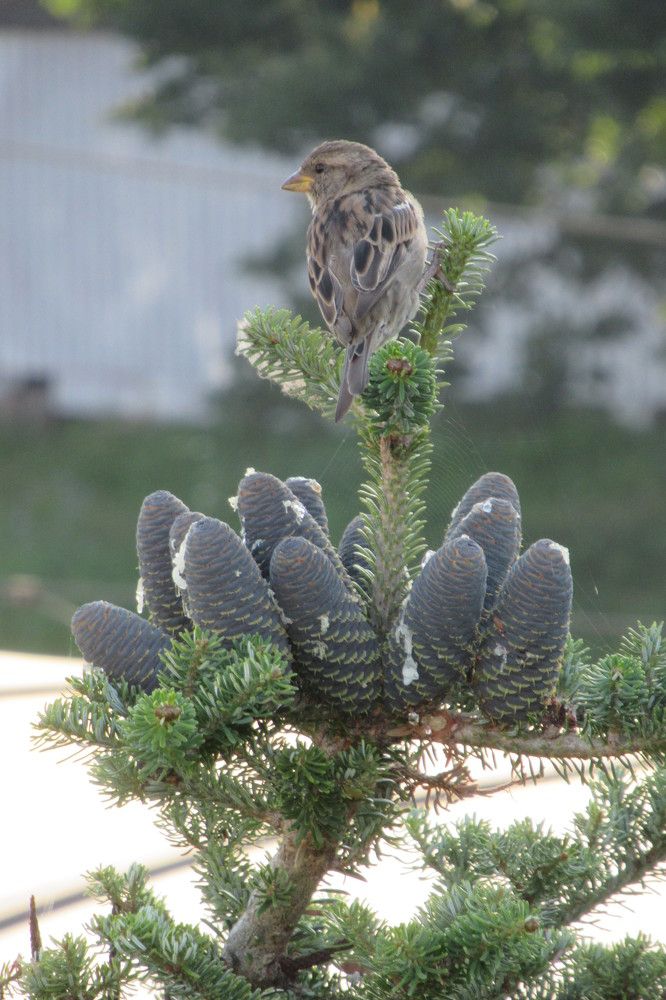 Photograph by Ирина Шведчикова