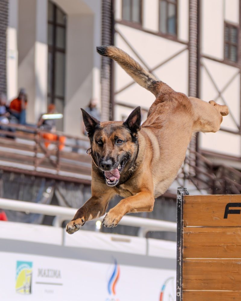 Photograph by Сергей Жиркевич