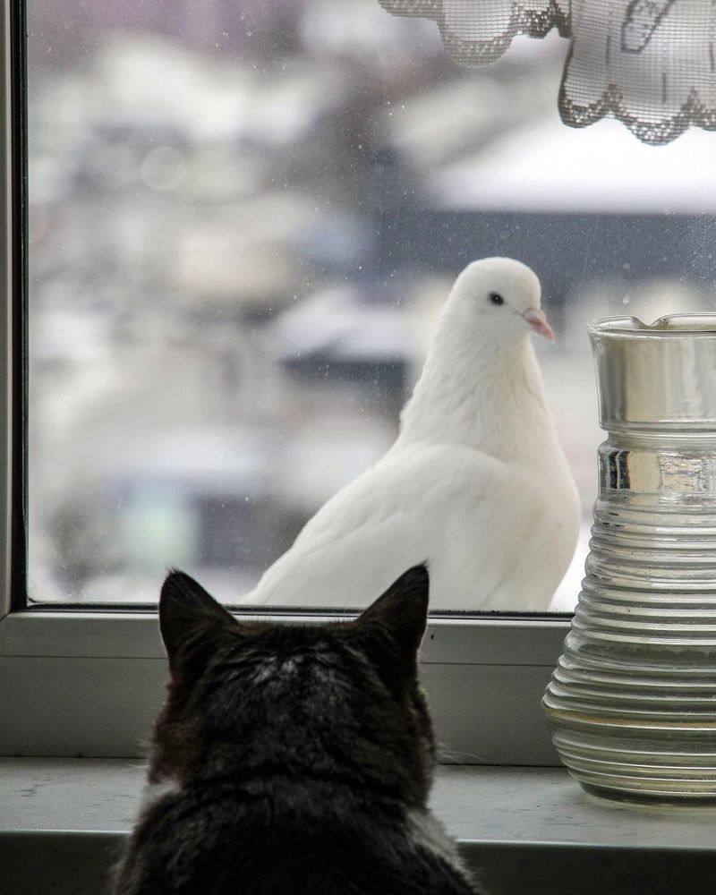 Photograph by Anastassia Dyubkova