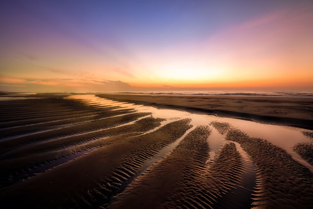 Photograph by Quy Nguyen