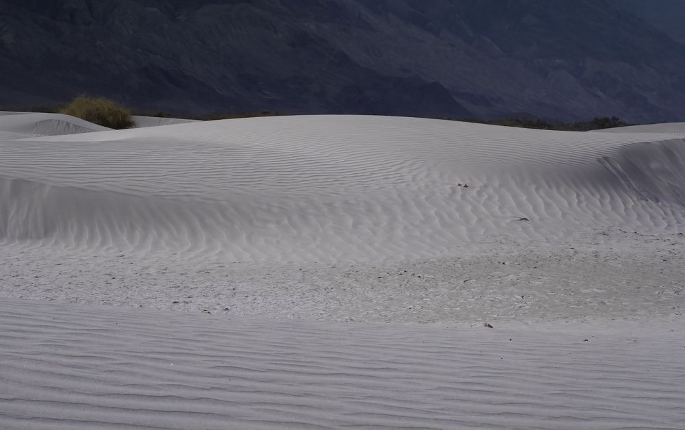 Photograph by HEMAMALI GUNASEKARA