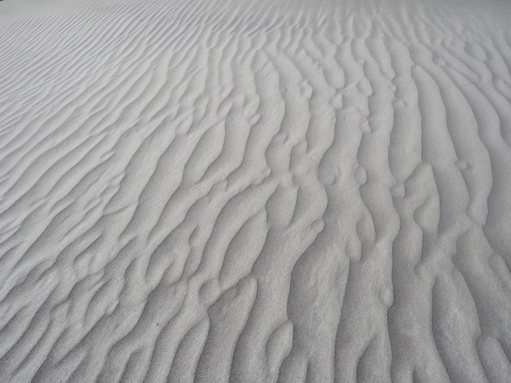 Photograph by HEMAMALI GUNASEKARA