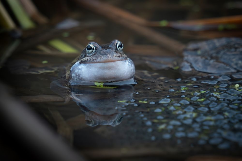 Photograph by Alexander Semenko