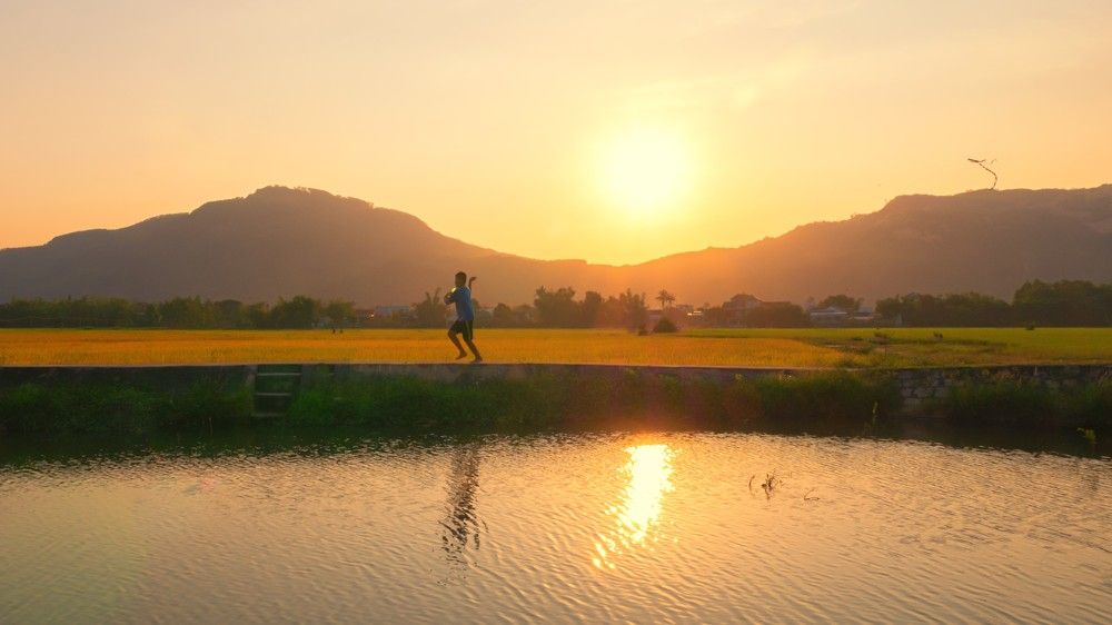 Фотография автора Pham Anh Vu