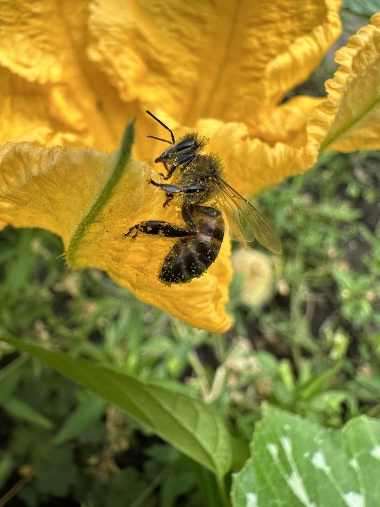 Фотография автора Татьяна Брык