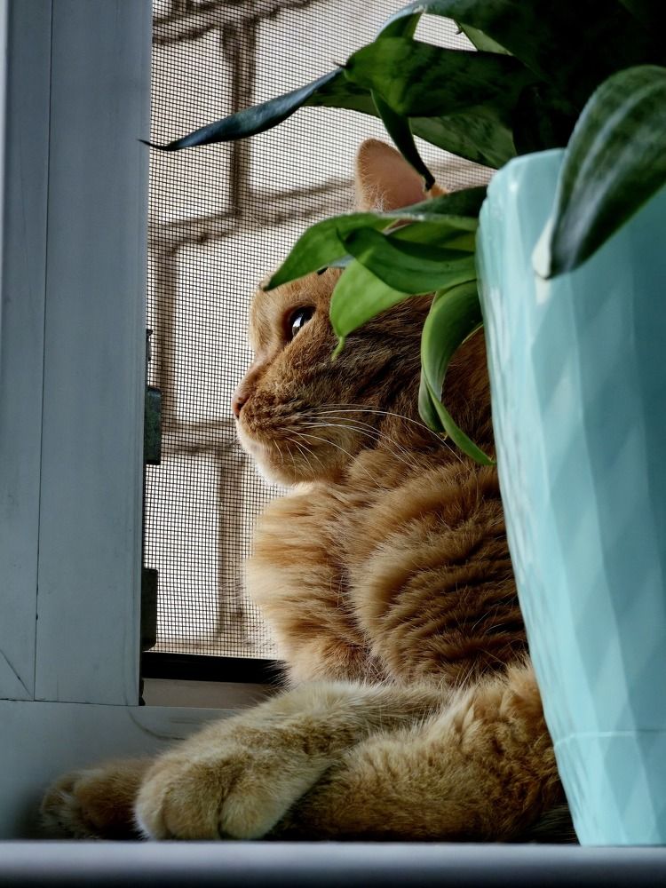 Photograph by Руслан Поляков