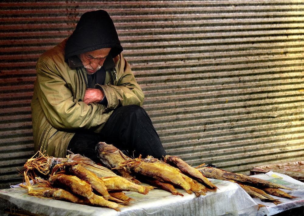 Photograph by hasan sorena jouri