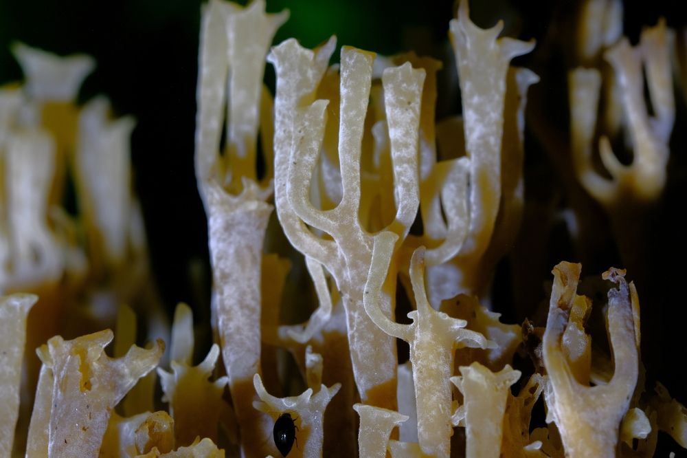 Photograph by Владимир Кирсанов