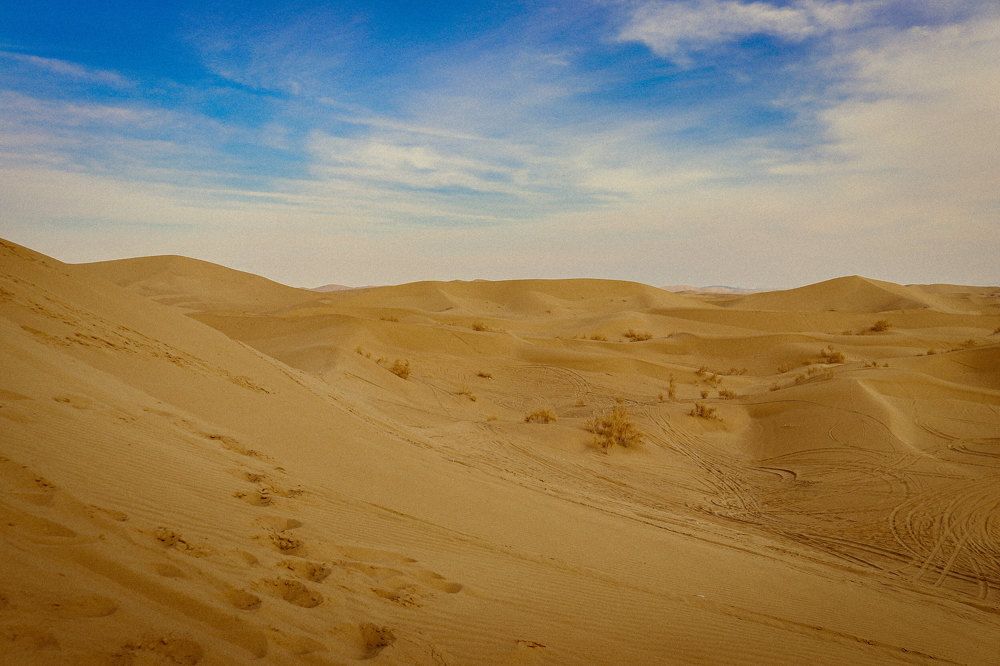 Photograph by asma dafeian