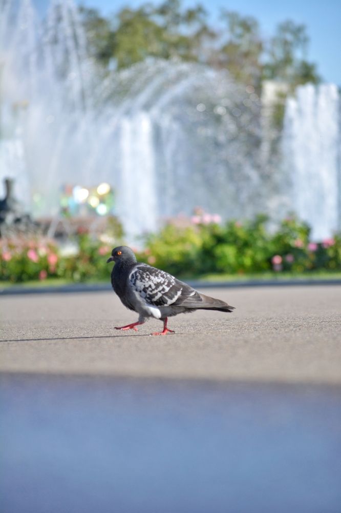 Photograph by Сергей Вознесенский