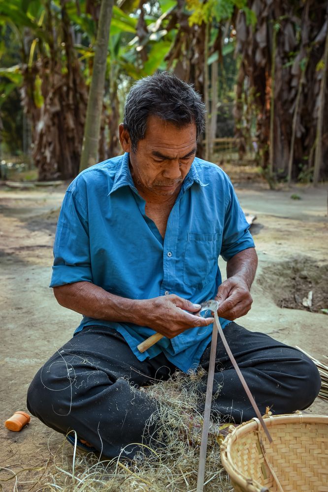 Photograph by DEBRAJ PURKAYASTHA