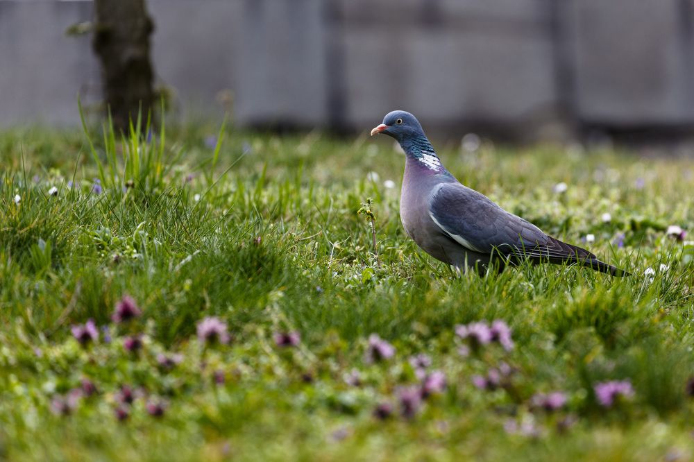 Photograph by Alexander Omelchuk