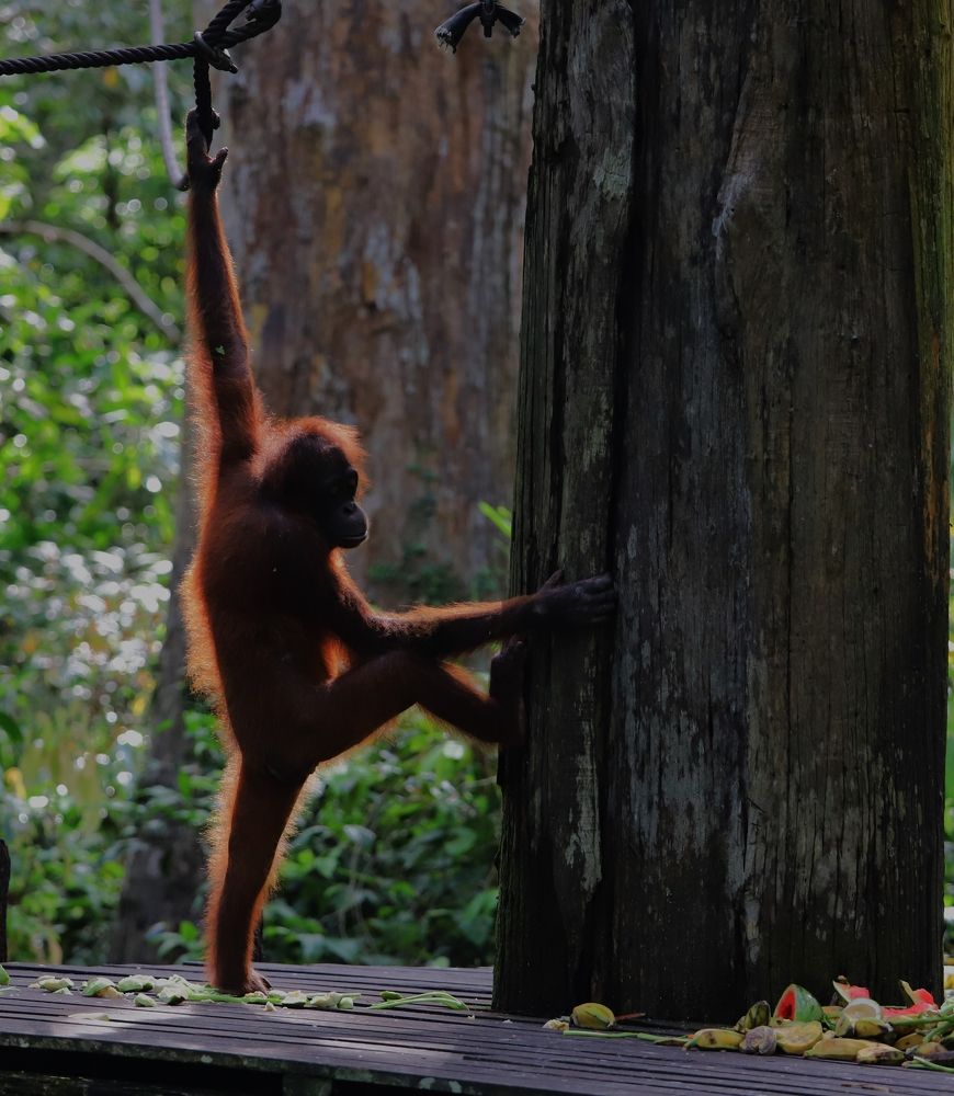 Photograph by Максимушкина Ольга