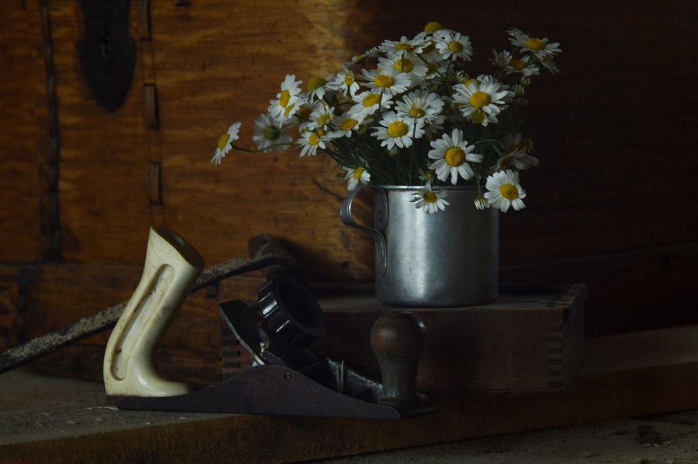 Photograph by Роман Пацкевич