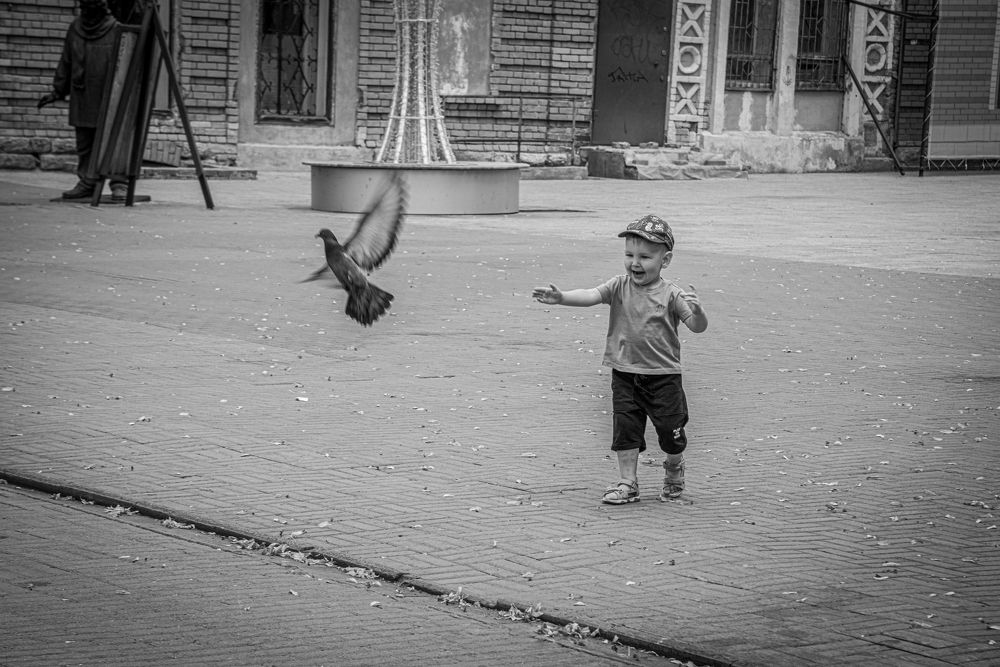 Фотография автора Михаил Кругов