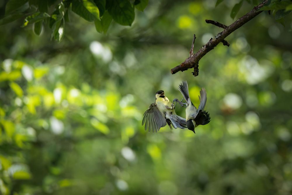 Photograph by Галина Павлова