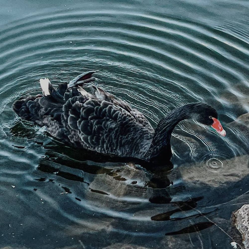 Photograph by Alsu Gimadieva