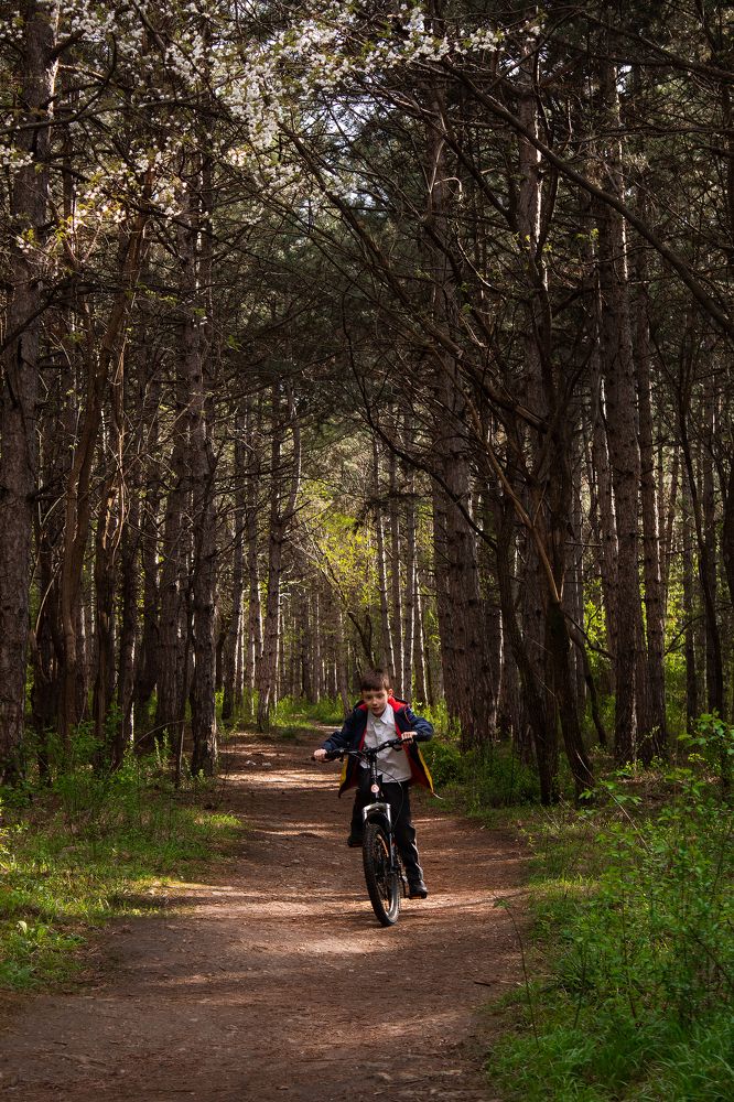 Photograph by Наталья Мулина