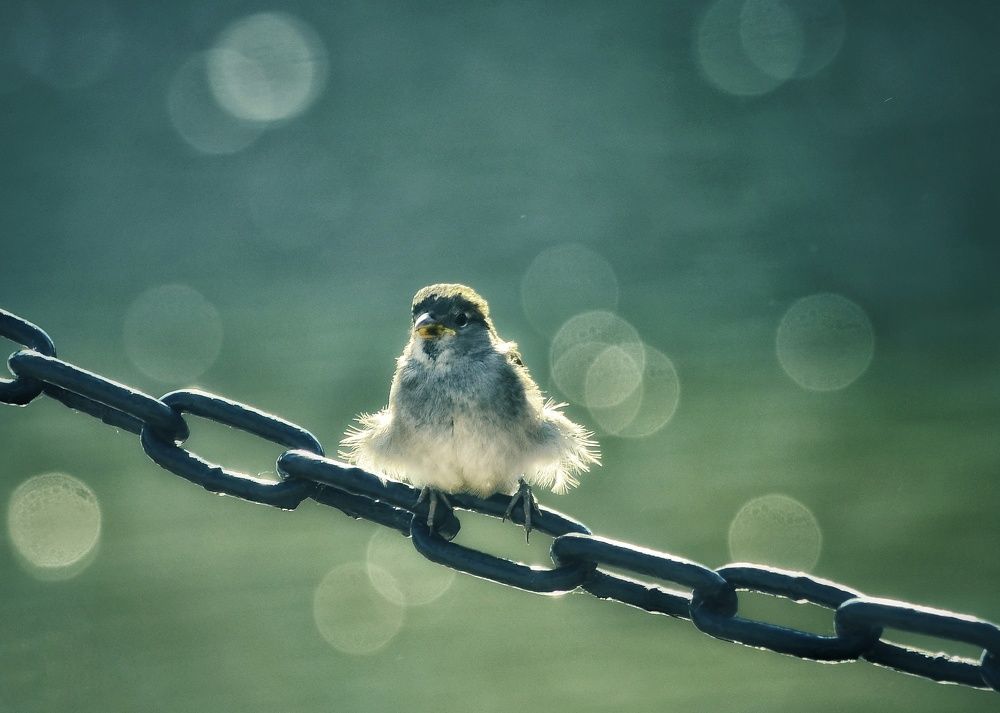 Photograph by Natalia Bolotenkova