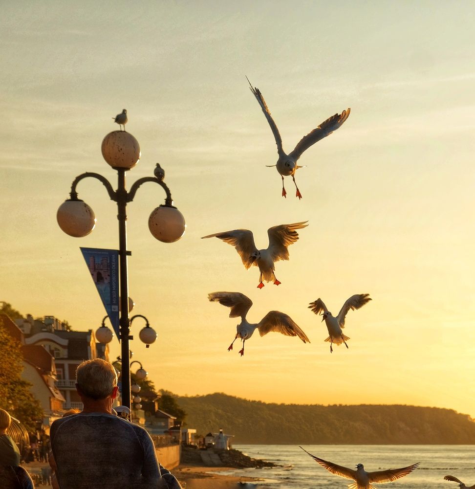 Photograph by Natalia Bolotenkova