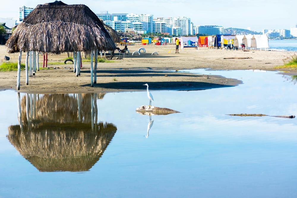 Photograph by Luis Alfredo Morales Torres