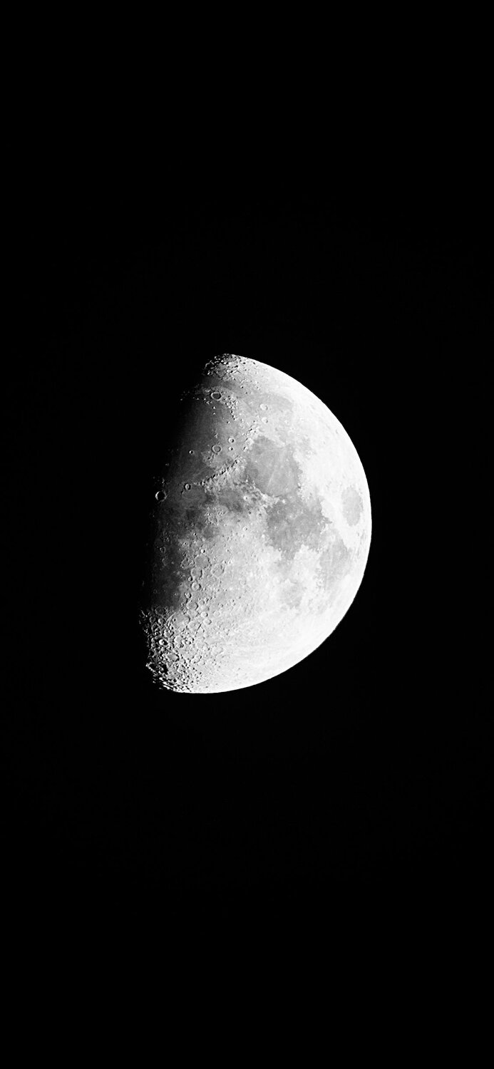Photo #10834319