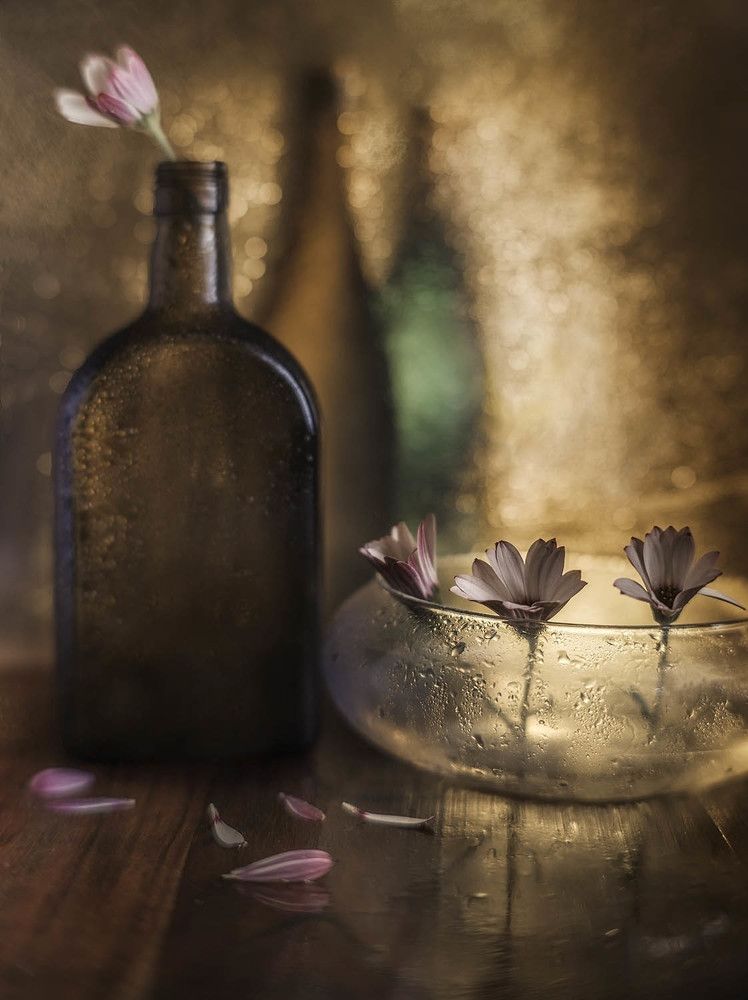 Photograph by Солодар Виктория