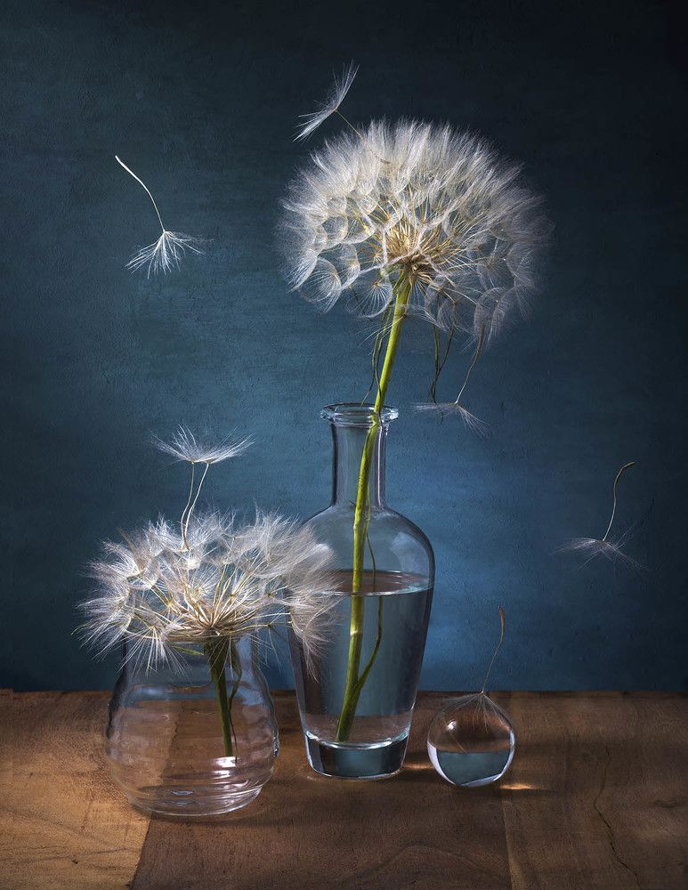 Photograph by Солодар Виктория